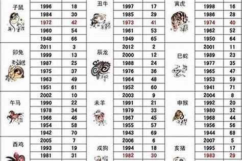 49岁属什么生肖2023|今年49岁属什么生肖2023 今年的总体运势好吗